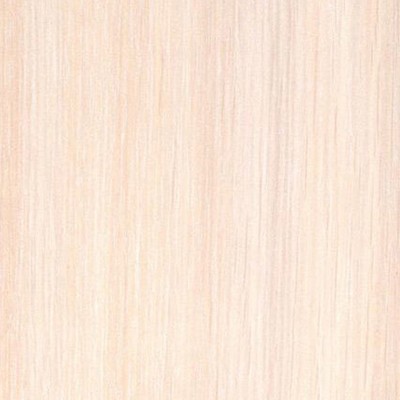 Обувница Мерлен