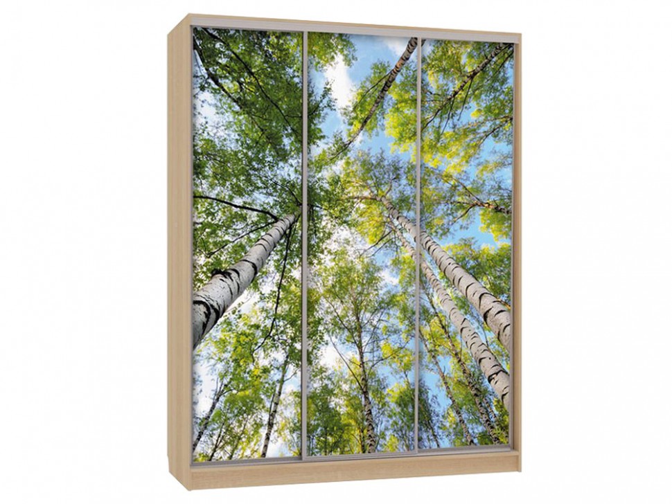 Шкаф-купе Бассо 7 Деревья