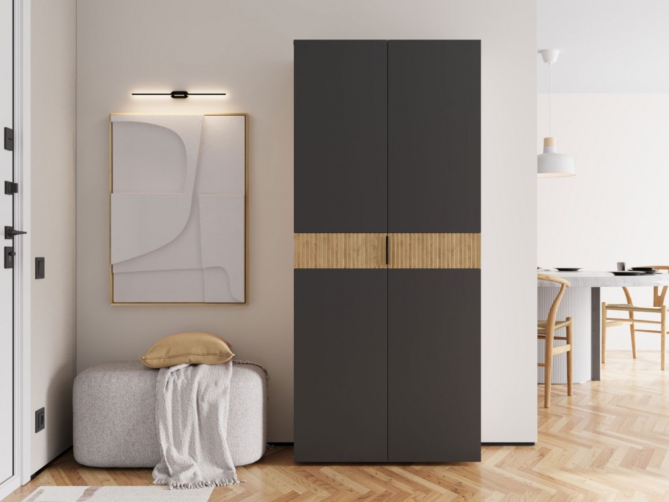 Распашной шкаф Роби