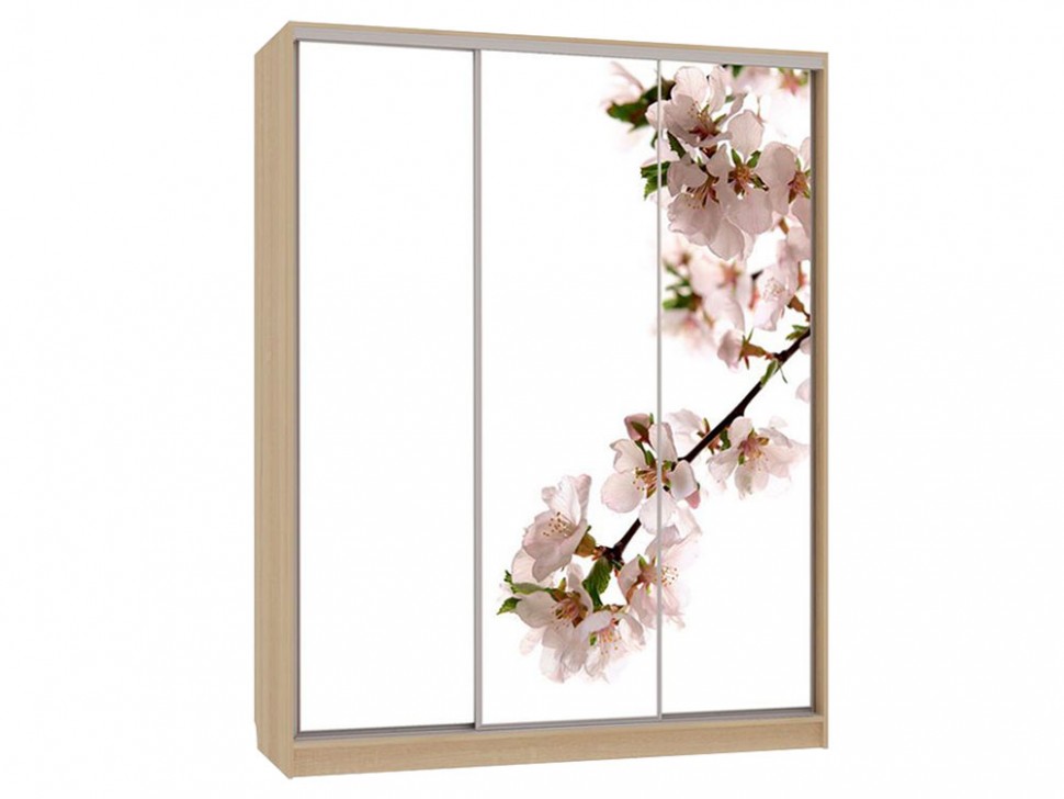 Шкаф-купе Бассо 7 Яблоня