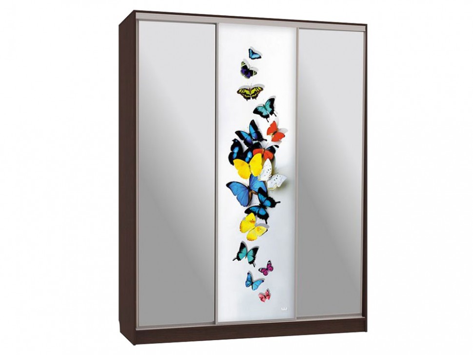 Шкаф-купе Бассо 9-600 88