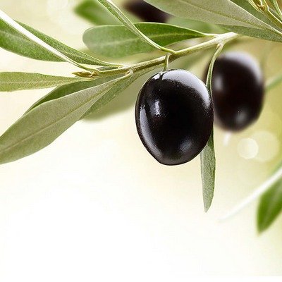 Кухонный стол Фиеста