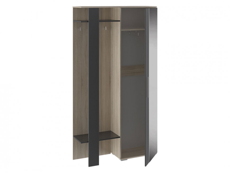 Прихожая Прихожая Нуар со шкафом