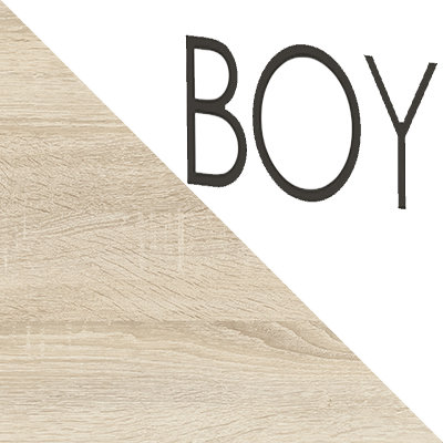 Детский шкаф Сенди