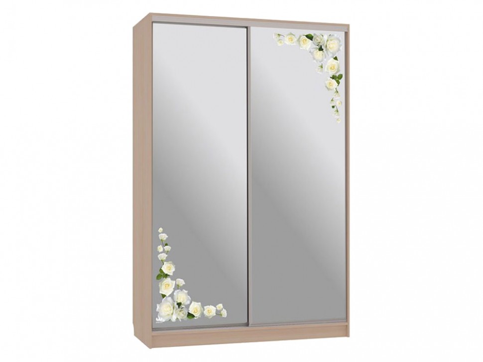 Шкаф-купе Колорадо 4 Розы