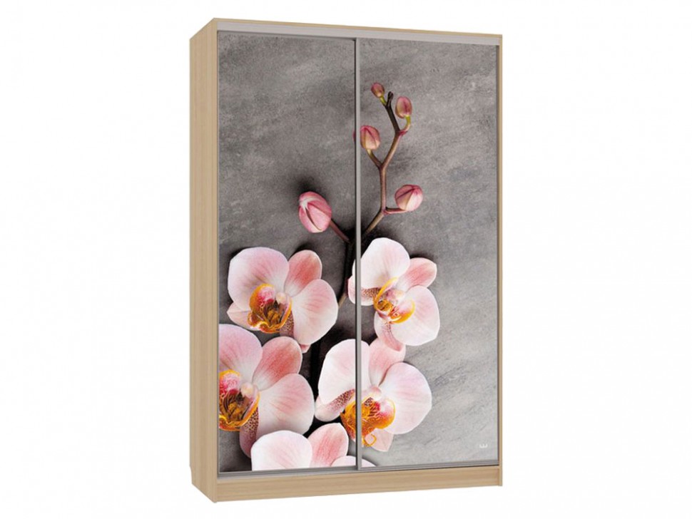 Шкаф-купе Колорадо 7 Цветы 2