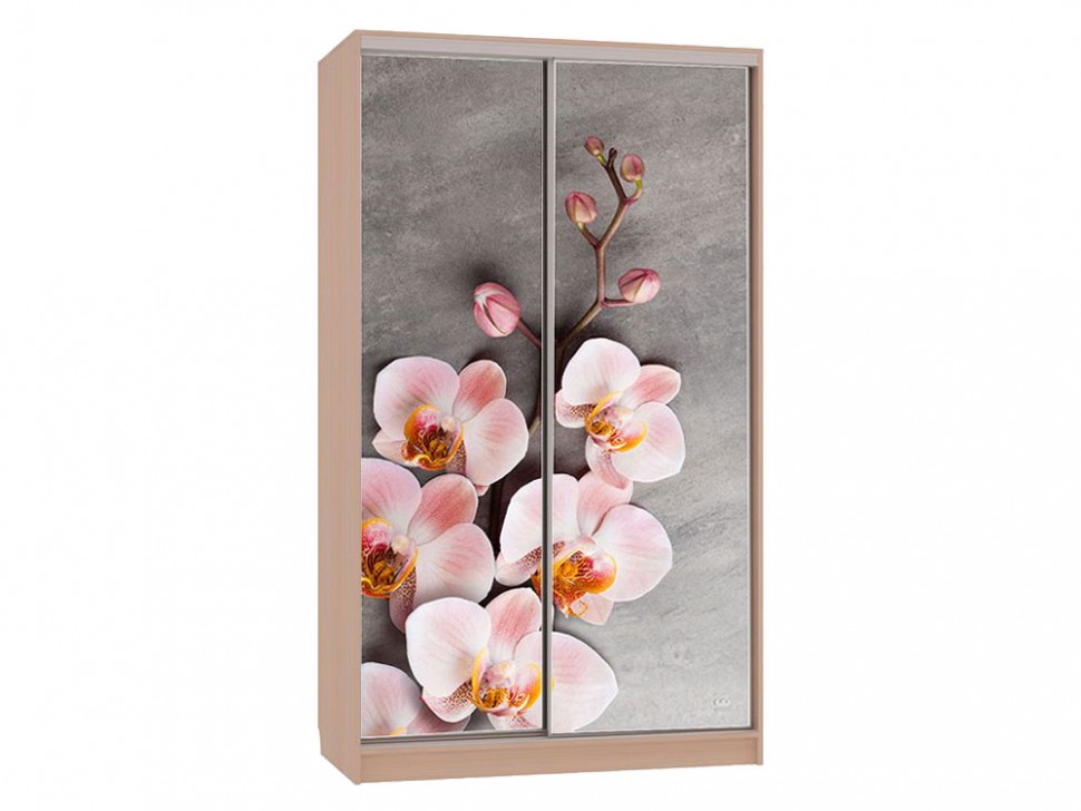 Шкаф-купе Колорадо 7 Цветы 2