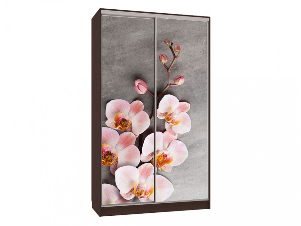 Шкаф-купе Колорадо 7 Цветы 2