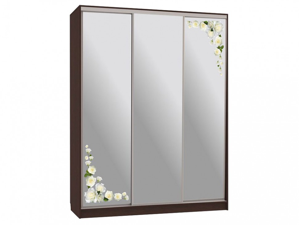 Шкаф-купе Бассо 4 Розы