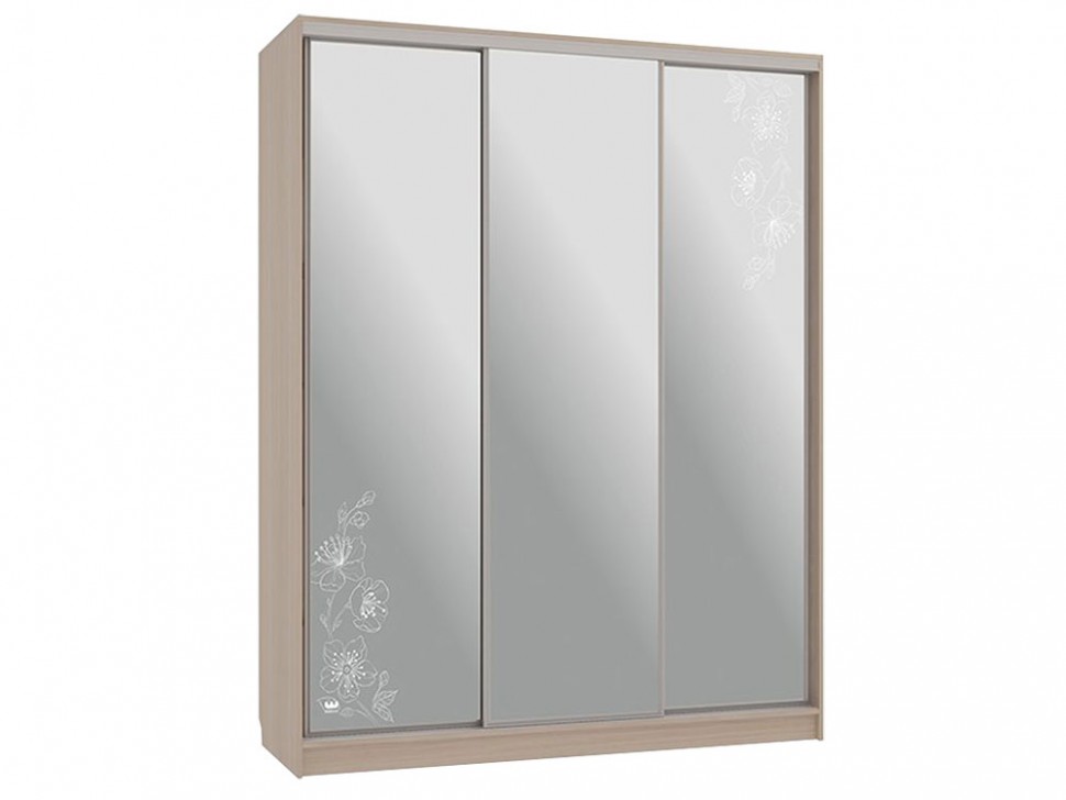 Шкаф-купе Бассо 4-600 токио